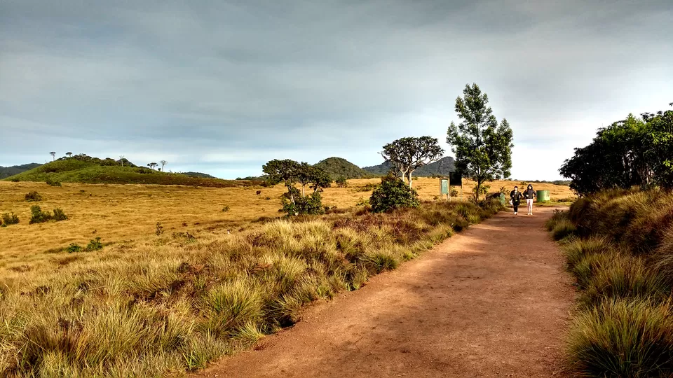 Photo of Day 6 (Horton Plains National Park - Maskeliya - Ella) by Born.Nomadic