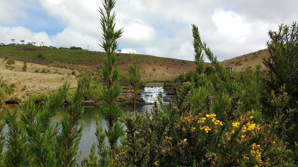 Photo of Day 6 (Horton Plains National Park - Maskeliya - Ella) by Born.Nomadic