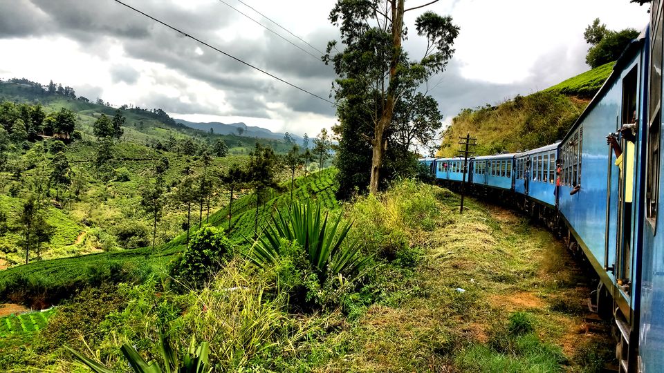 Photo of Day 6 (Horton Plains National Park - Maskeliya - Ella) by Born.Nomadic