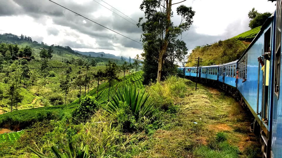 Photo of Day 6 (Horton Plains National Park - Maskeliya - Ella) by Born.Nomadic