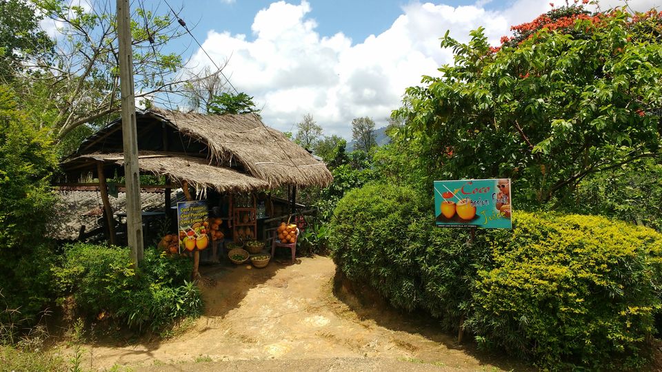 Photo of Day 8 (Ella - Little Adam's Peak - Ravana Falls - Ella Rock) by Born.Nomadic