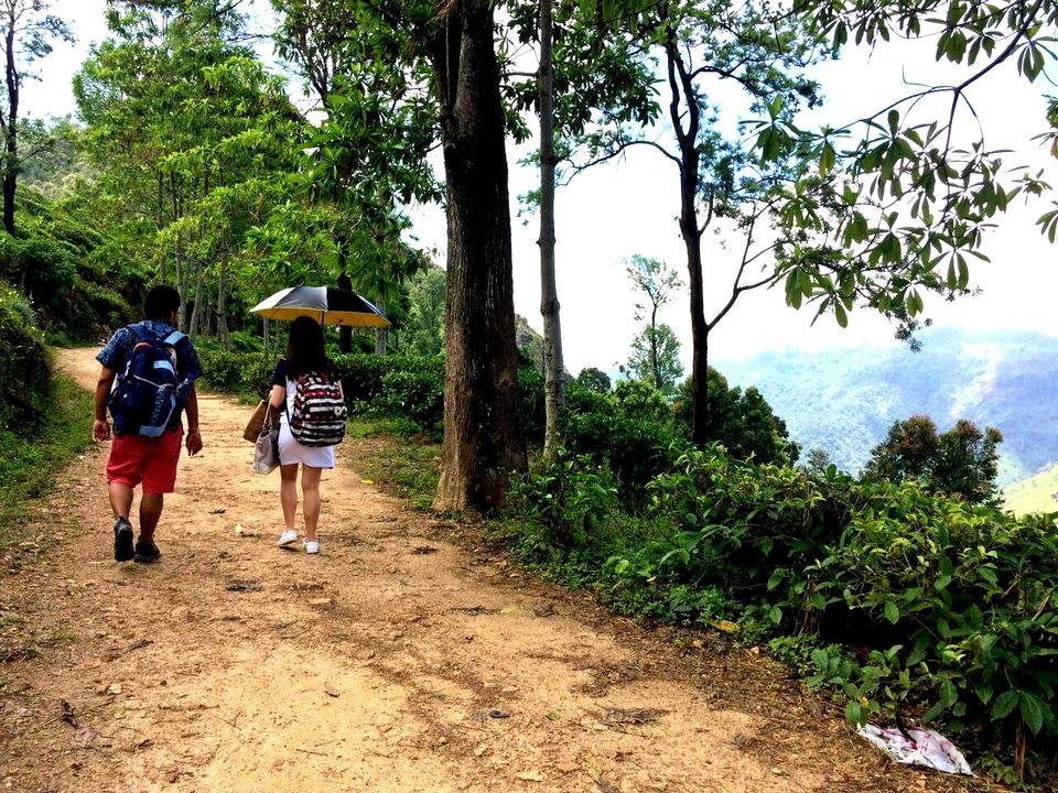 Photo of Day 8 (Ella - Little Adam's Peak - Ravana Falls - Ella Rock) by Born.Nomadic