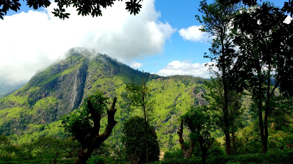 Photo of Day 8 (Ella - Little Adam's Peak - Ravana Falls - Ella Rock) by Born.Nomadic