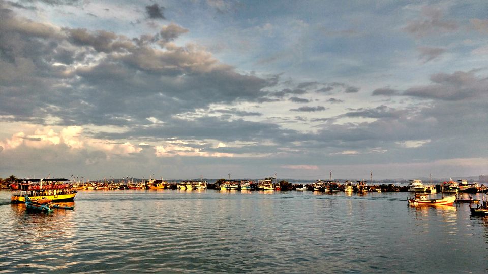 Photo of Whale Watching Mirissa, Mirissa, Sri Lanka by BornomadiC