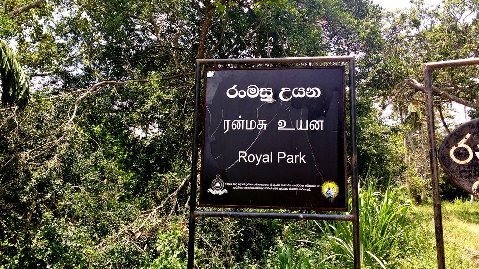 Photo of Ranmasu Uyana, Anuradhapura, Sri Lanka by Born.Nomadic