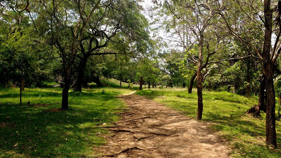 Photo of Ranmasu Uyana, Anuradhapura, Sri Lanka by Born.Nomadic
