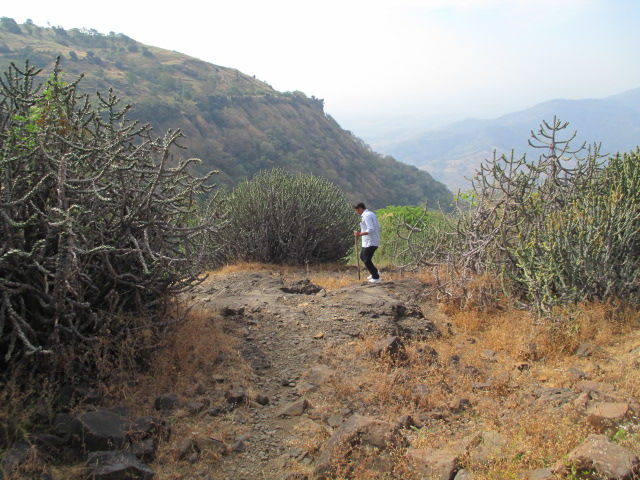 Photo of You don't need to spend a lot of money to see good places - Chikhaldara by Saket Sonekar