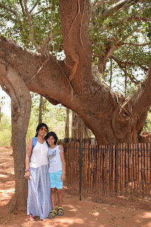 Photo of Pondicherry- Forget about life for while ! 5/23 by Ritika Sundaram Rohatgi