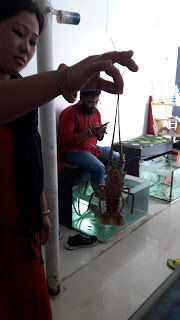 Photo of Pondicherry- Forget about life for while ! 23/23 by Ritika Sundaram Rohatgi