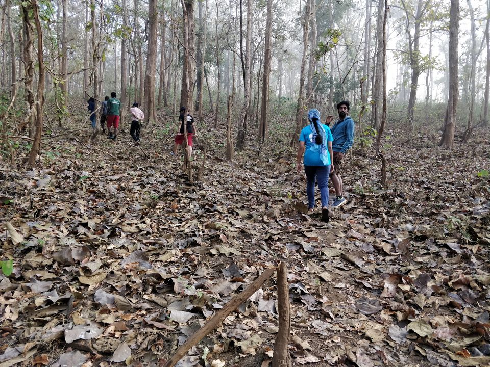 Photo of DANDELI TRIP! The Best Weekend Getaway from Mangalore by Naveen C V