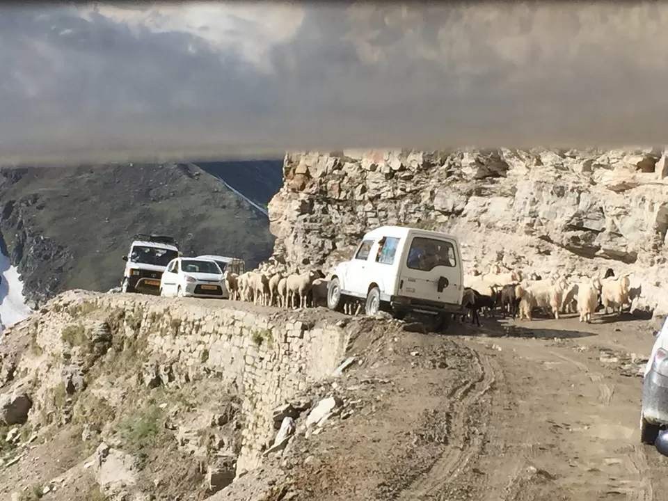 Photo of Leh Manali Highway, Choglamsar by Richa