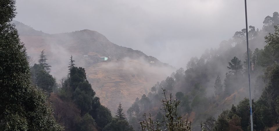 Photo of Sharog, Himachal Pradesh, India by Richa
