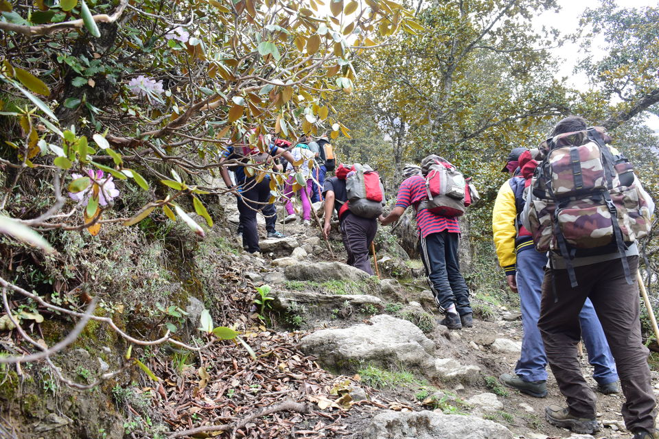 Photo of Nagaru Camp - YHAI, Sosan, Himachal Pradesh, India by Anand Michael