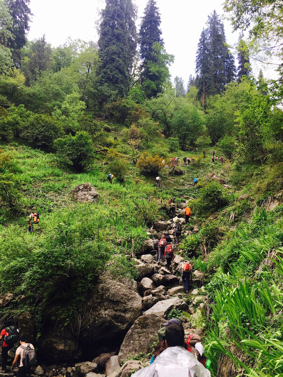 Photo of Padri, Shimla, Himachal Pradesh, India by Anand Michael