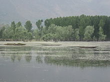 Photo of Call Of Himalayas (Part-2): Around Srinagar 6/8 by Sahil Gupta