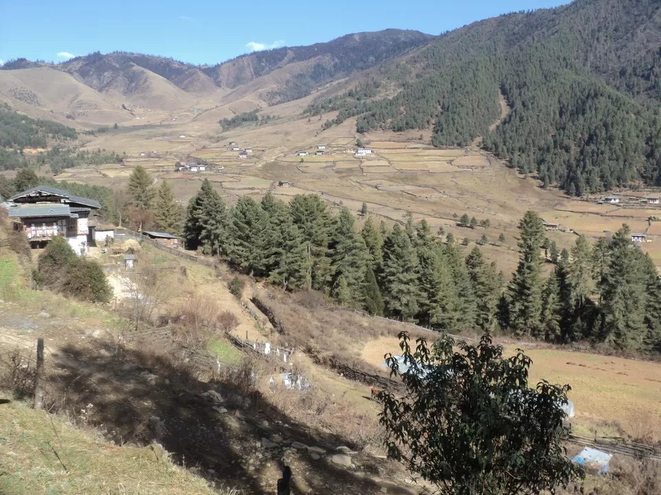 Photo of Visit a Stunning Country under Rs. 10,000 : Bhutan Solo Travel Hack! by Shipra Shekhar