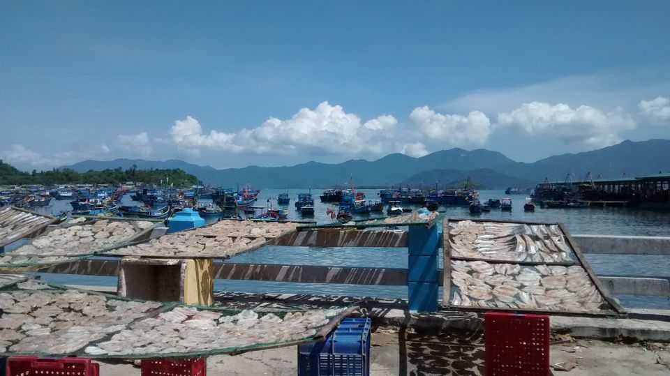 Photo of Here's How I Experienced Vietnam On Two Wheels Under ₹3000 & You Can Do It Too! by Shipra Shekhar