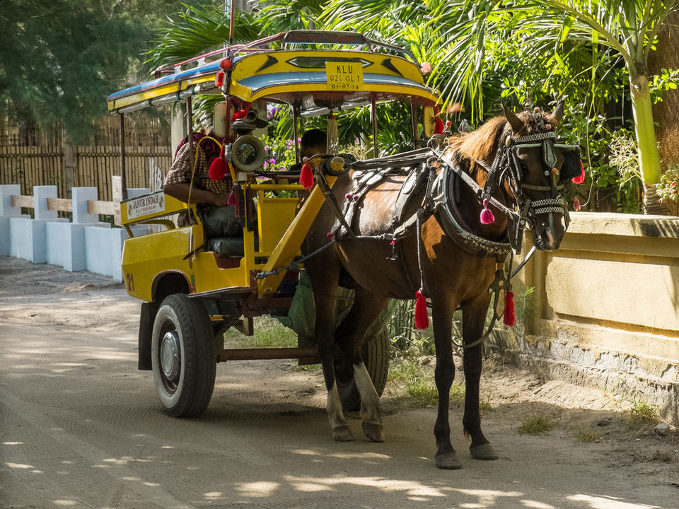 Photo of Explore Gili Islands: Hidden Party Islands Just An Hour Away From Bali by Shipra Shekhar