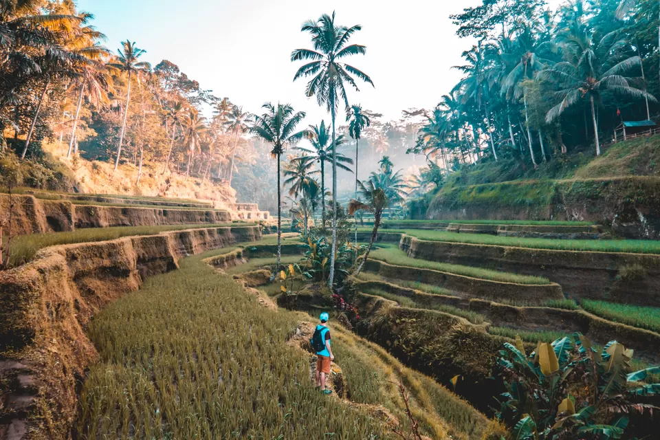 Photo of 13 Reasons Why Your First Backpacking Trip Should Be To Southeast Asia Instead Of Europe by Shipra Shekhar