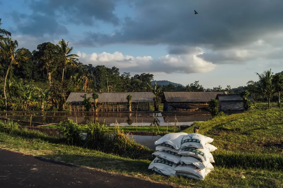 Photo of 13 Reasons Why Your First Backpacking Trip Should Be To Southeast Asia Instead Of Europe by Shipra Shekhar