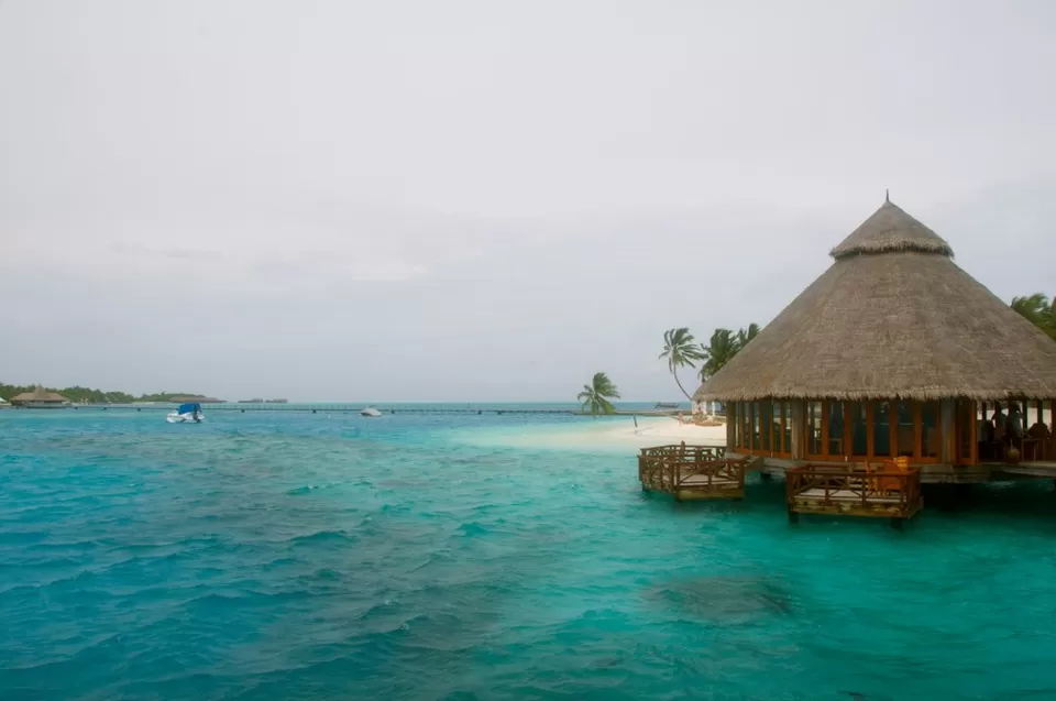 Photo of Ithaa Undersea Restaurant, Alifu Dhaalu Atoll, North Central Province, Maldives by Shipra Shekhar