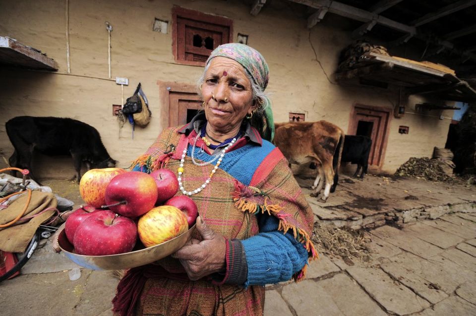 Photo of I Moved To This Himalayan Village From A City And Here Is How It Has Changed Me Forever 8/17 by Shipra Shekhar