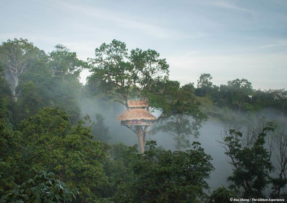 Photo of Stay In The World's Highest Tree House Where Zip Lining Is The Only Way In And Live The Jungle Life by Shipra Shekhar