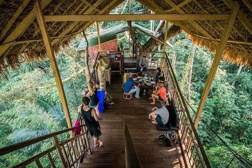 Photo of Stay In The World's Highest Tree House Where Zip Lining Is The Only Way In And Live The Jungle Life by Shipra Shekhar