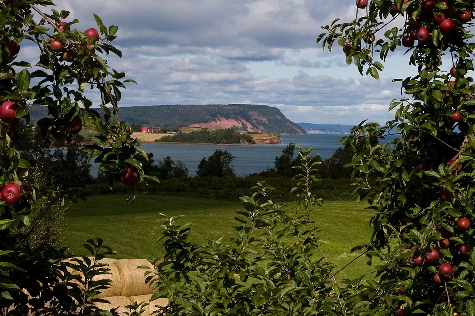 Photo of Nova Scotia, Canada by Shipra Shekhar