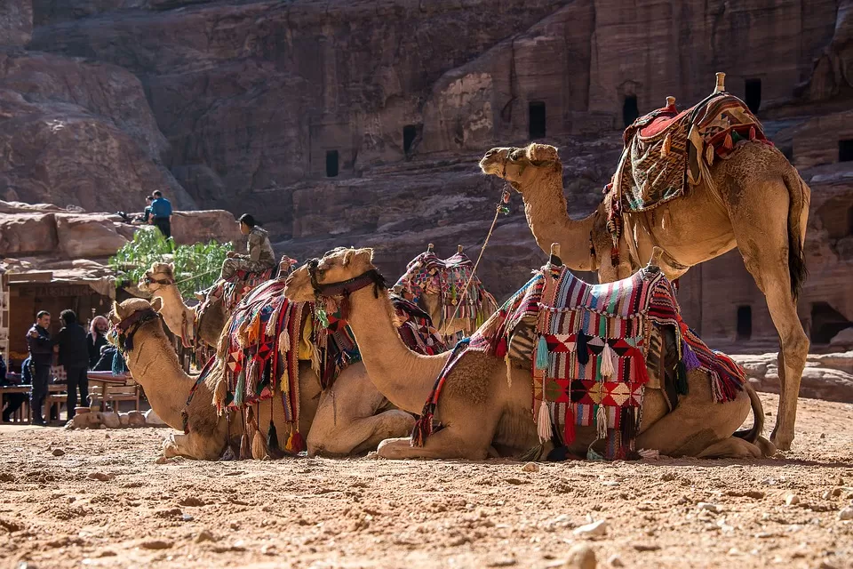 Photo of Jordan by Shipra Shekhar