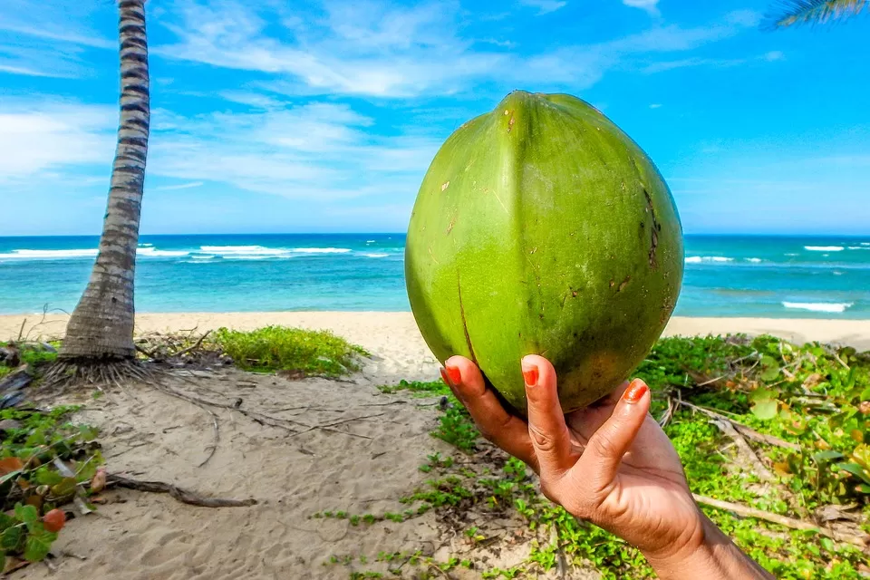 Photo of Seychelles by Shipra Shekhar