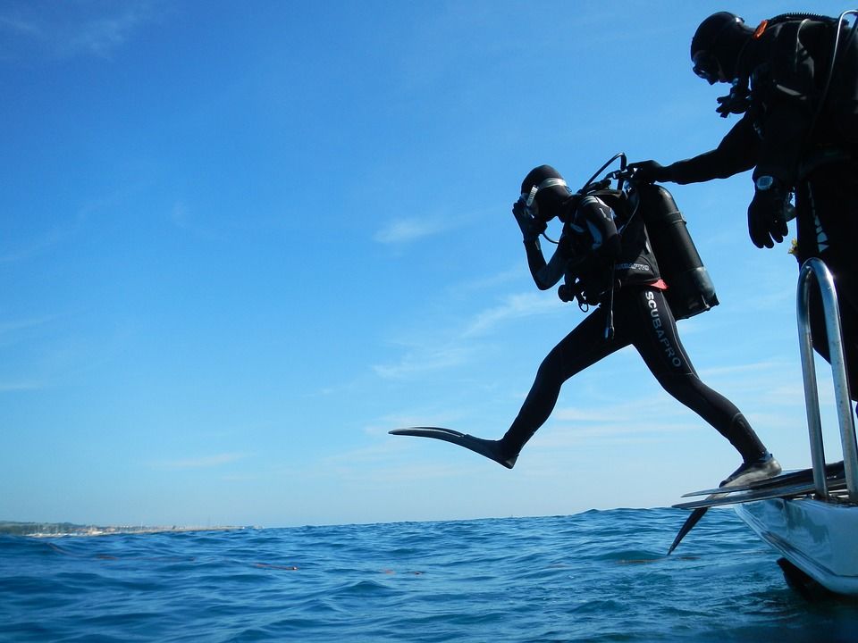 Photo of How I Dived With Sharks At the Wonderful Komodo National Park by Shipra Shekhar