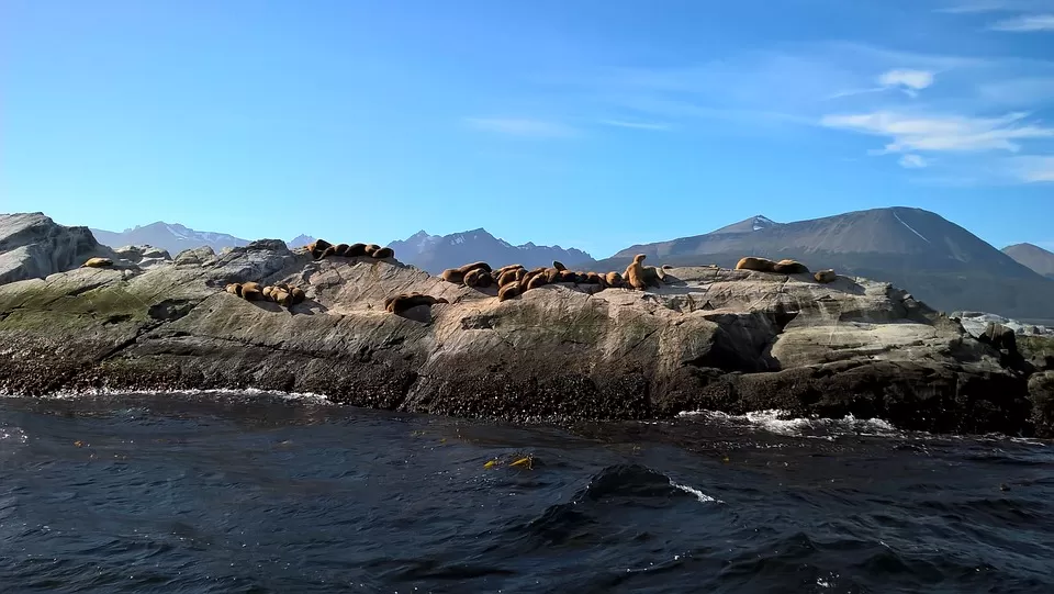 Photo of Beagle Channel by Shipra Shekhar