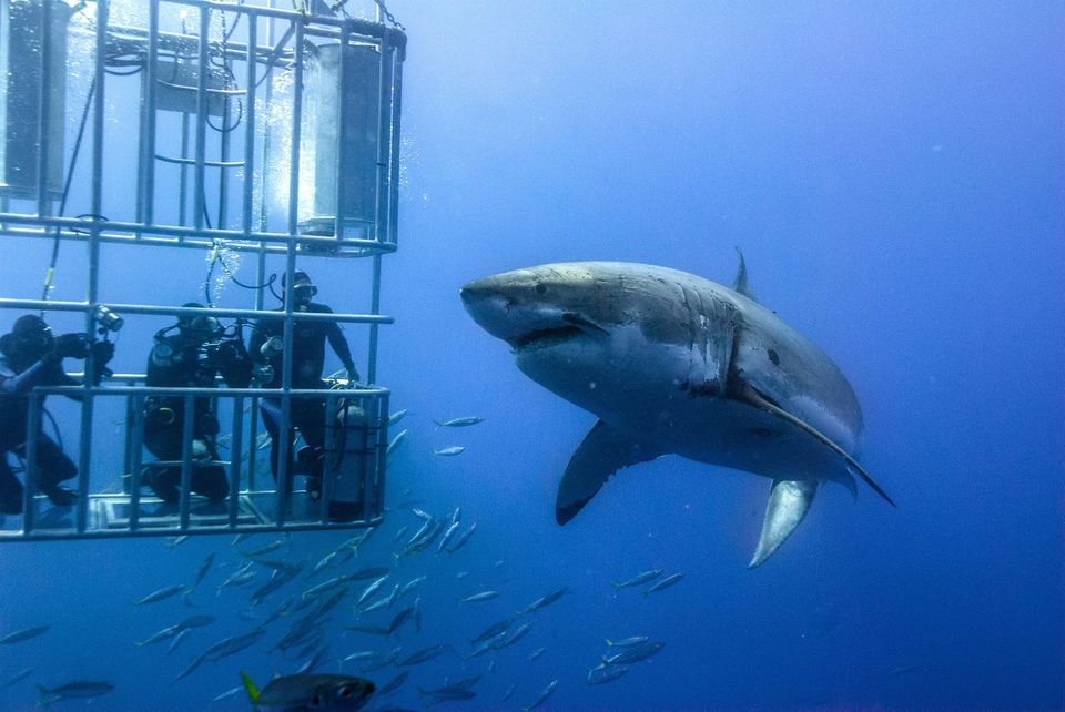 Photo of False Bay, Cape Town, South Africa by Shipra Shekhar