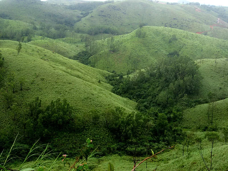 Photo of Vagamon, Kerala, India by Shipra Shekhar