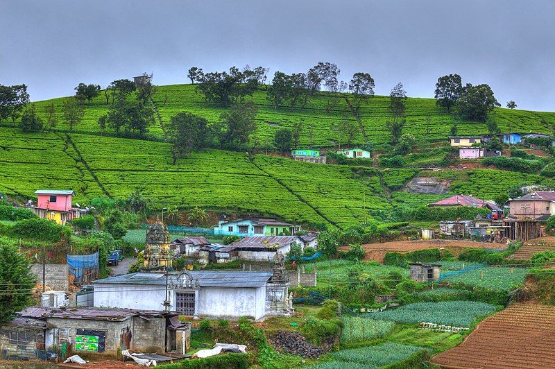 Photo of 13 Reasons Why You Should Ignore a Sri Lanka Trip No Longer! by Shipra Shekhar
