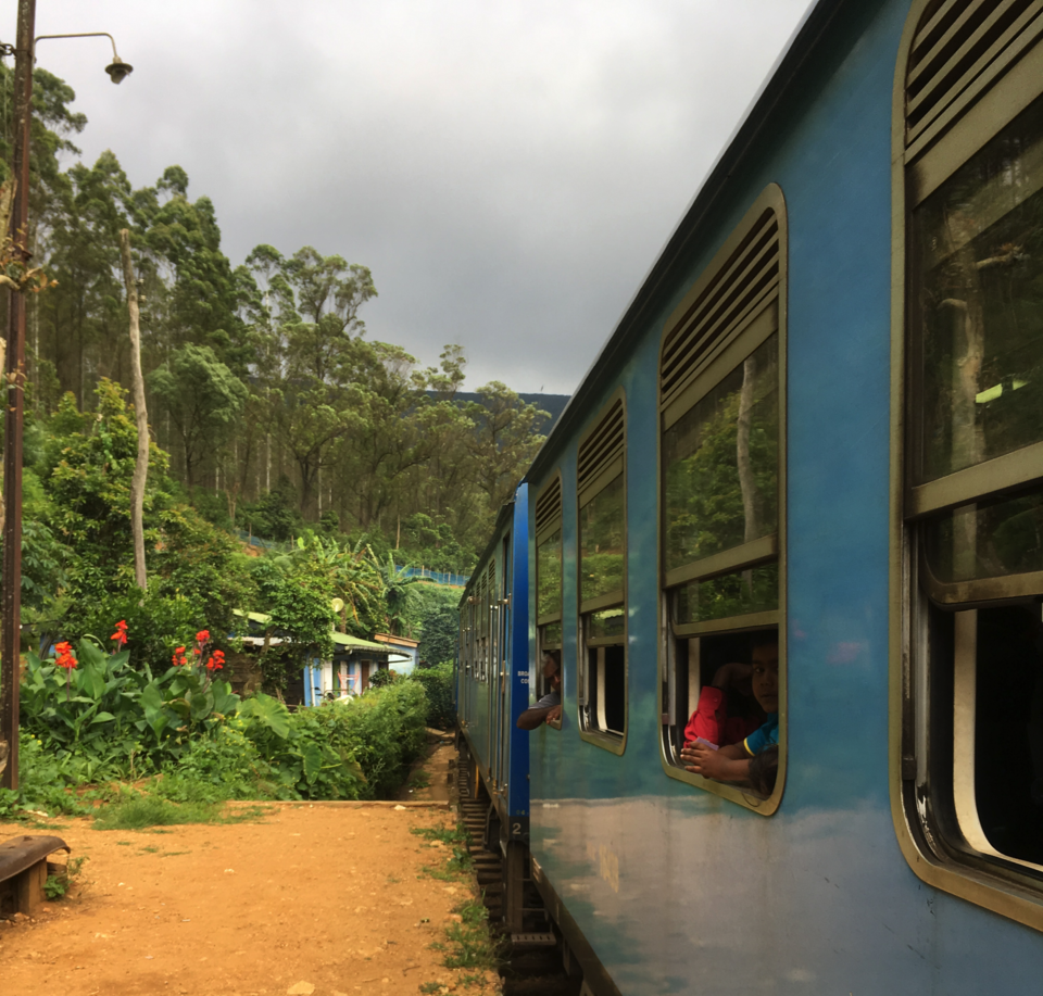 Photo of 13 Reasons Why You Should Ignore a Sri Lanka Trip No Longer! by Shipra Shekhar