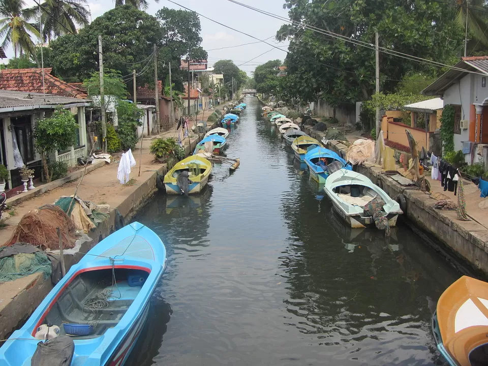 Photo of Negombo, Western Province, Sri Lanka by Shipra Shekhar