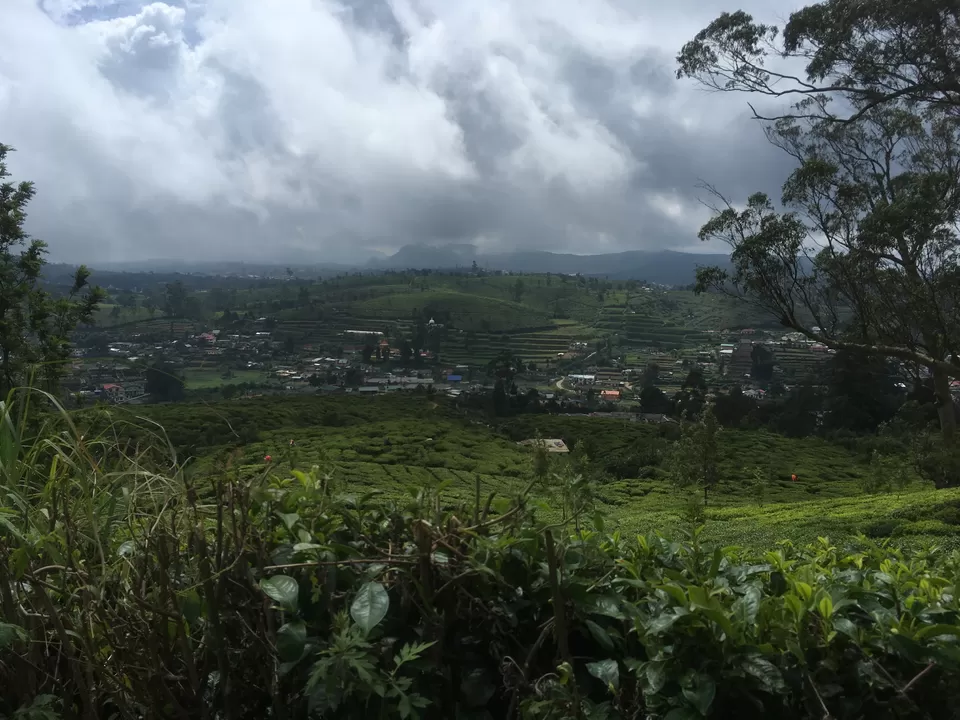 Photo of Nuwara Eliya, Central Province, Sri Lanka by Shipra Shekhar