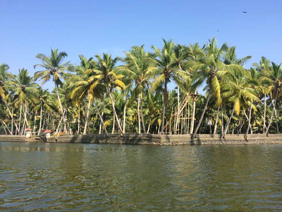 Photo of Kerala, India by Purvansh Sharma