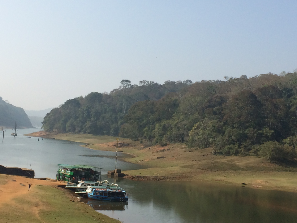 Photo of Thekkady, Kerala, India by Purvansh Sharma