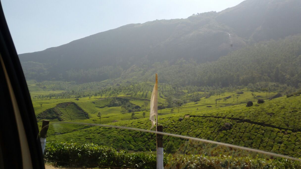 Photo of Munnar, Kerala, India by Purvansh Sharma