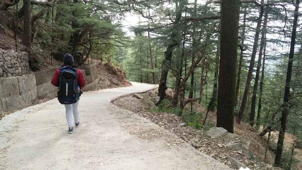 Photo of McLeod Ganj, Dharamshala, Himachal Pradesh, India by Rhea Chawla