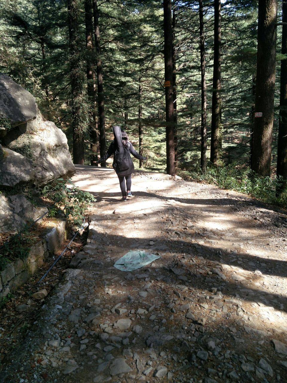 Photo of McLeod Ganj, Dharamshala, Himachal Pradesh, India by Rhea Chawla
