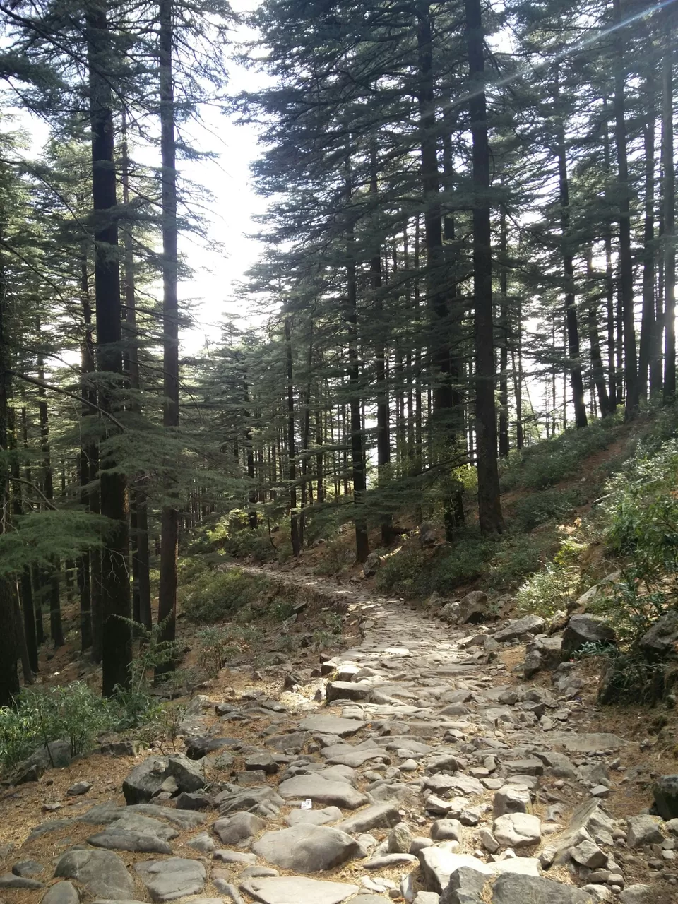 Photo of McLeod Ganj, Dharamshala, Himachal Pradesh, India by Rhea Chawla