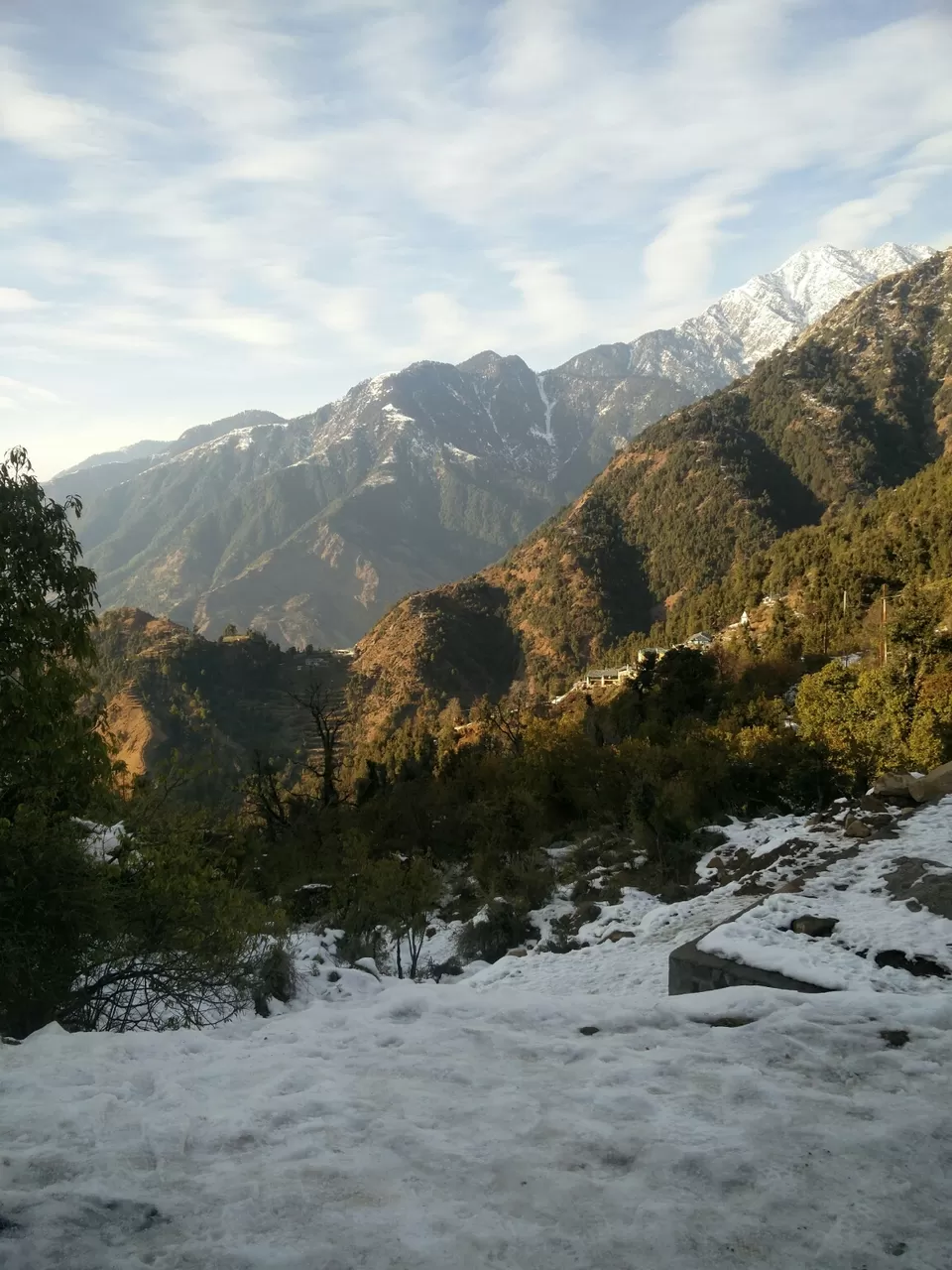 Photo of McLeod Ganj, Dharamshala, Himachal Pradesh, India by Rhea Chawla