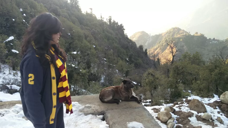 Photo of McLeod Ganj, Dharamshala, Himachal Pradesh, India by Rhea Chawla