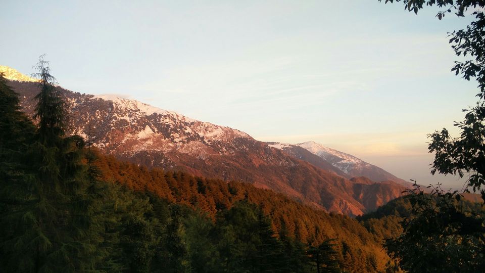 Photo of McLeod Ganj, Dharamshala, Himachal Pradesh, India by Rhea Chawla