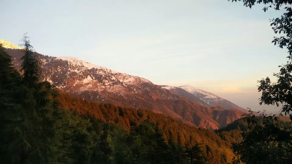 Photo of McLeod Ganj, Dharamshala, Himachal Pradesh, India by Rhea Chawla