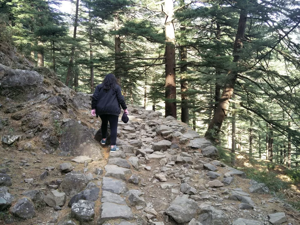 Photo of McLeod Ganj, Dharamshala, Himachal Pradesh, India by Rhea Chawla